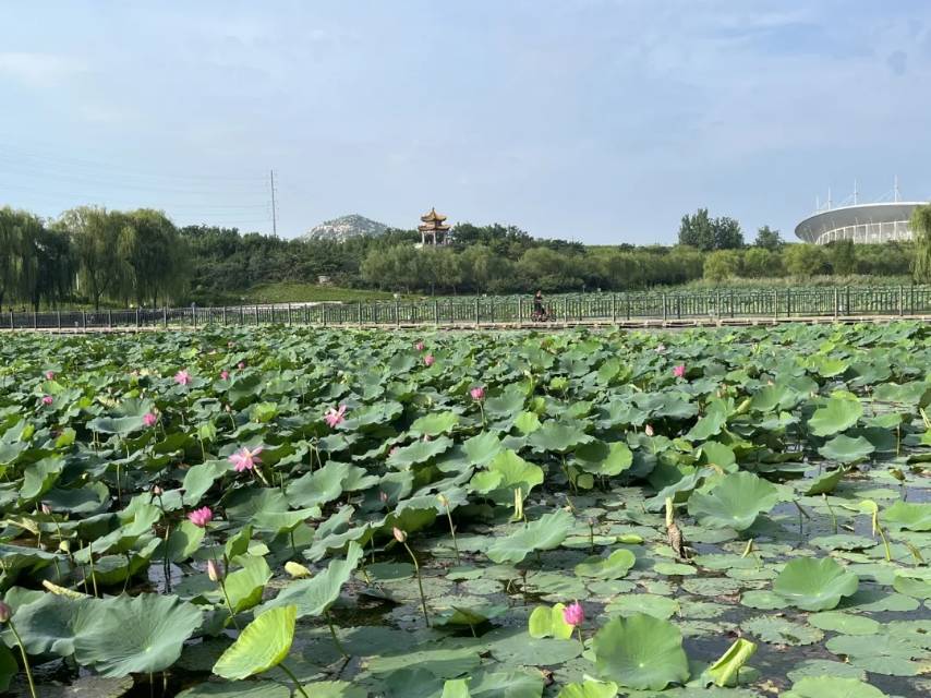 普通裝修3室1廳1衛80m2850元/月