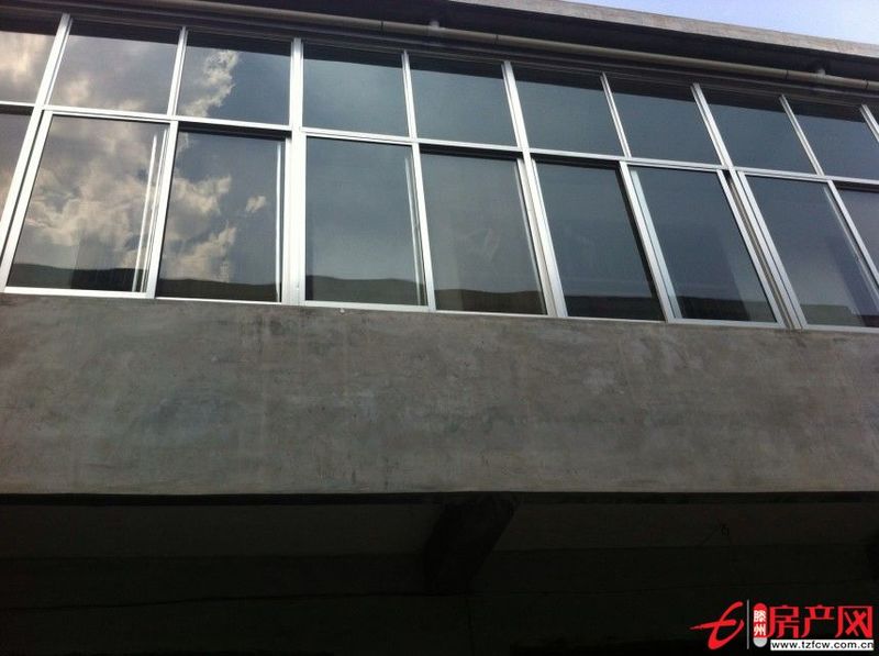 東環路，櫻花苑，前大廟村，八間兩廳整體獨院出租