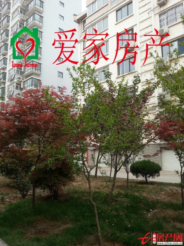 荊善南苑升值空間大，交通便利，有暖氣
