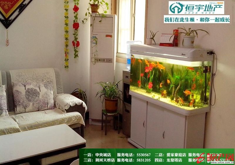春蕾花苑優質房源低價出售