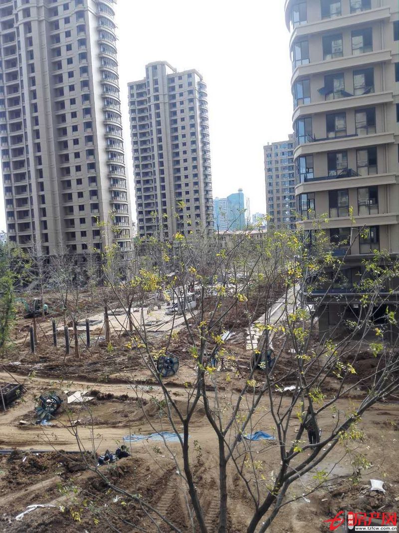 濱江國(guó)際花苑