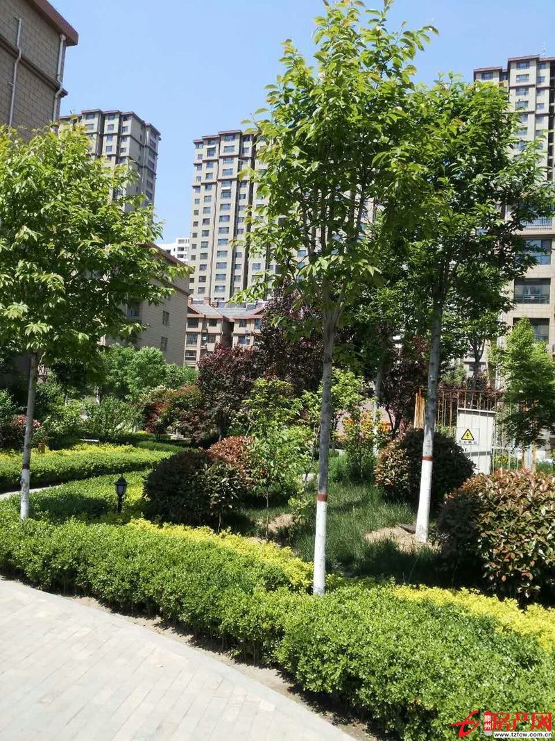 善南小區多層高，簡裝，有證，含儲有暖