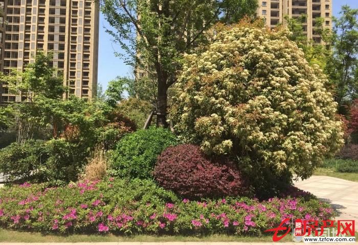 金河灣兩室兩廳好樓層實驗小學學區房，荊河公園對面，全款