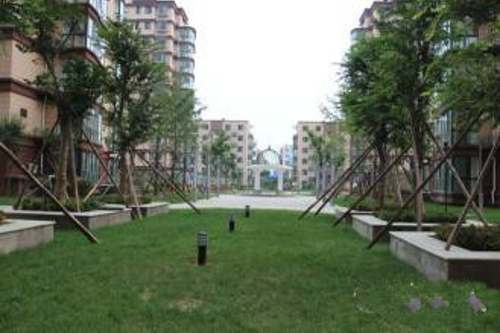 忠真新天地，精裝修，兩室一廳朝陽，證滿兩年，可貸款。