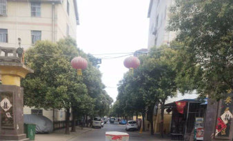 荊善安居